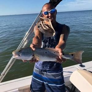 Meet your Posher, Elliott